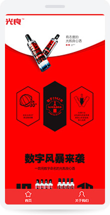 四川光良酿酒有限公司